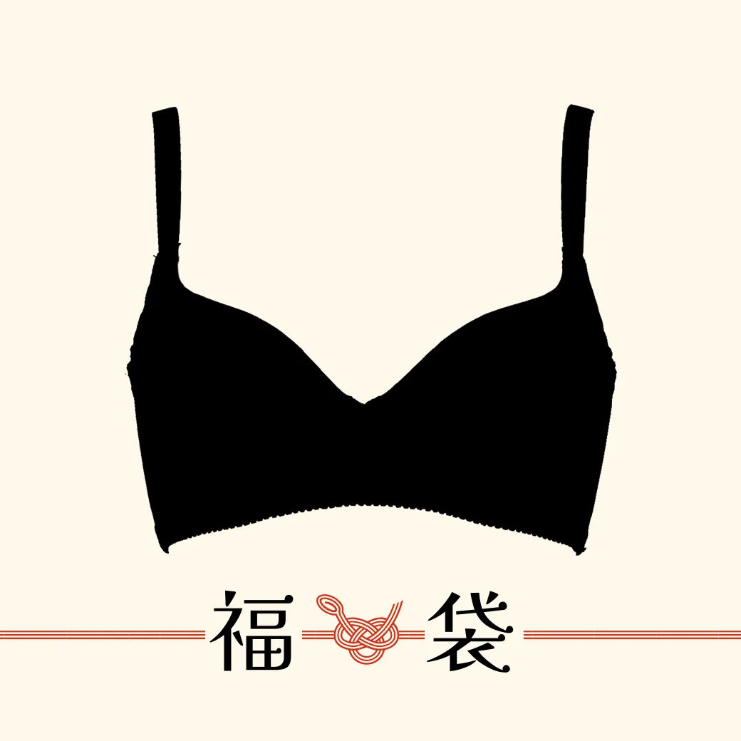 【2026年福袋】ビスチェリーナブラジャー