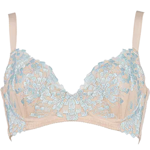 SELFIT BRA(セルフィットブラ) 画像