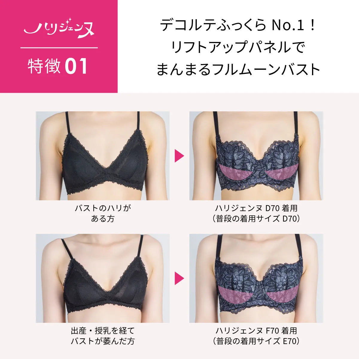 限定ハロウィンセール【アウトレット】ハリジェンヌ ブラジャー ブラック【 B65 - K90 】