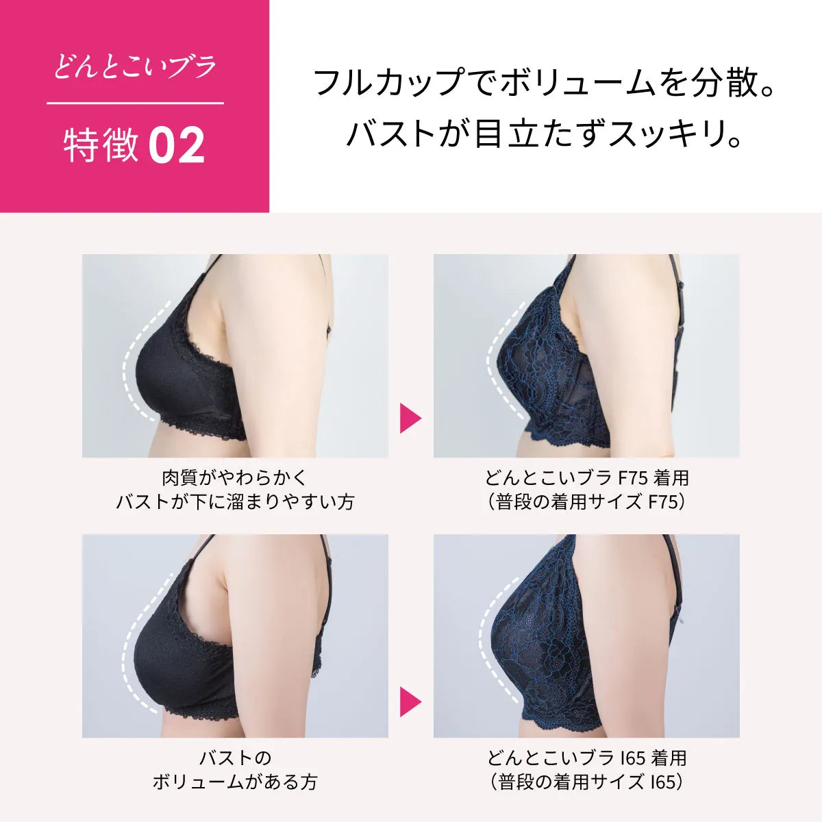 どんとこいブラ ブラジャー グレイッシュパープル【 D65 - M90 】