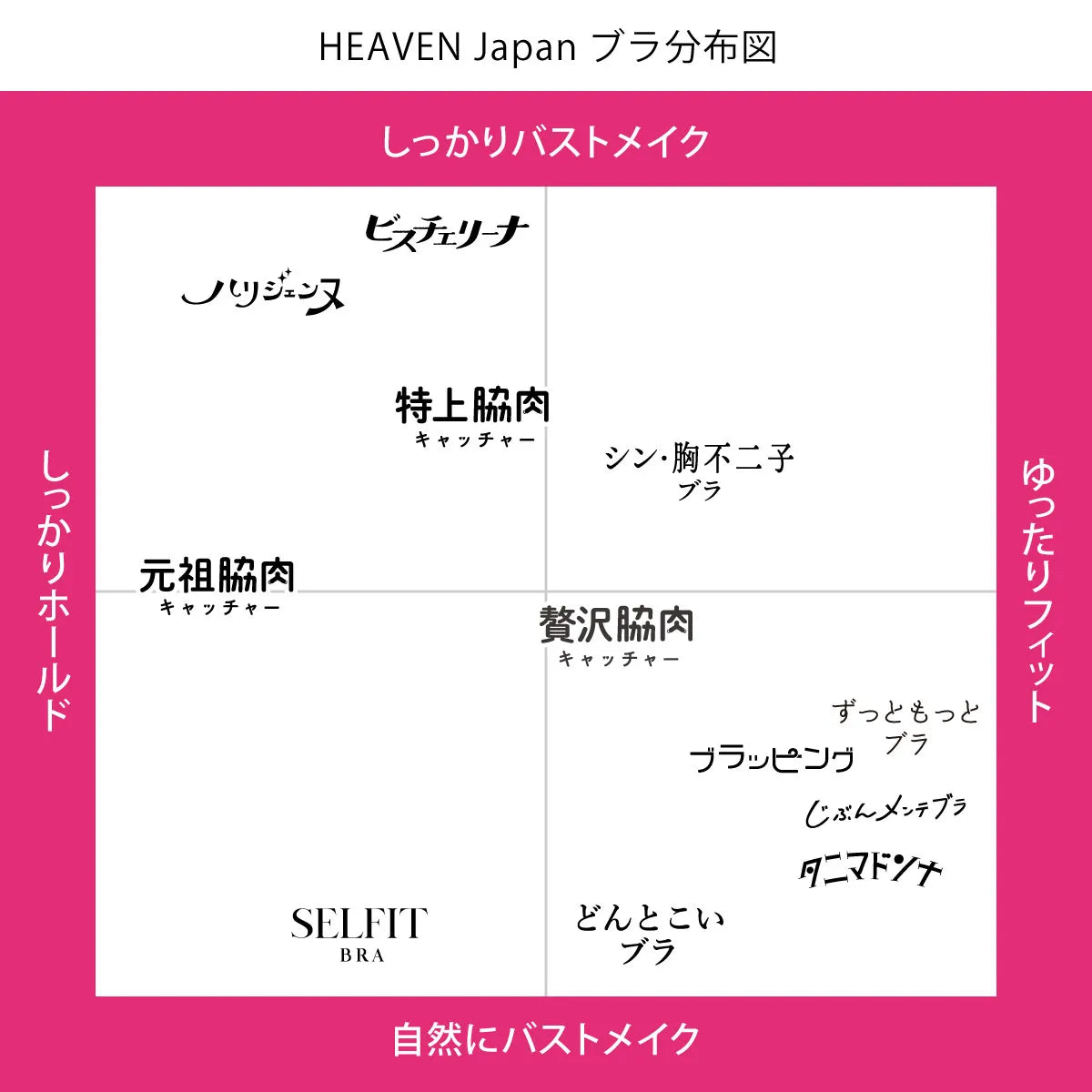 元祖脇肉キャッチャー ブラジャー