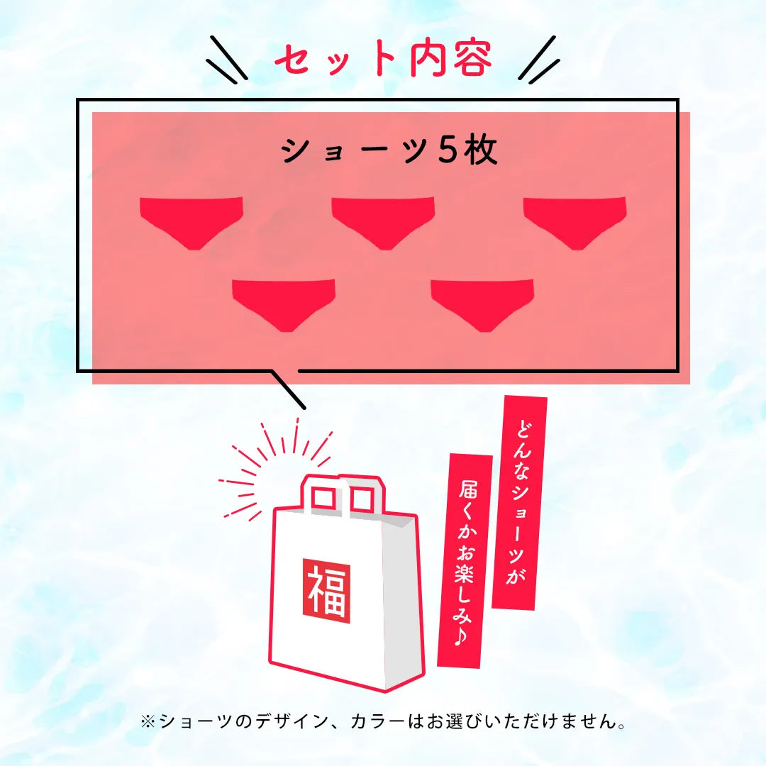 【限定ハロウィンセール】すっぽりショーツ5点福袋【 M - 3L】