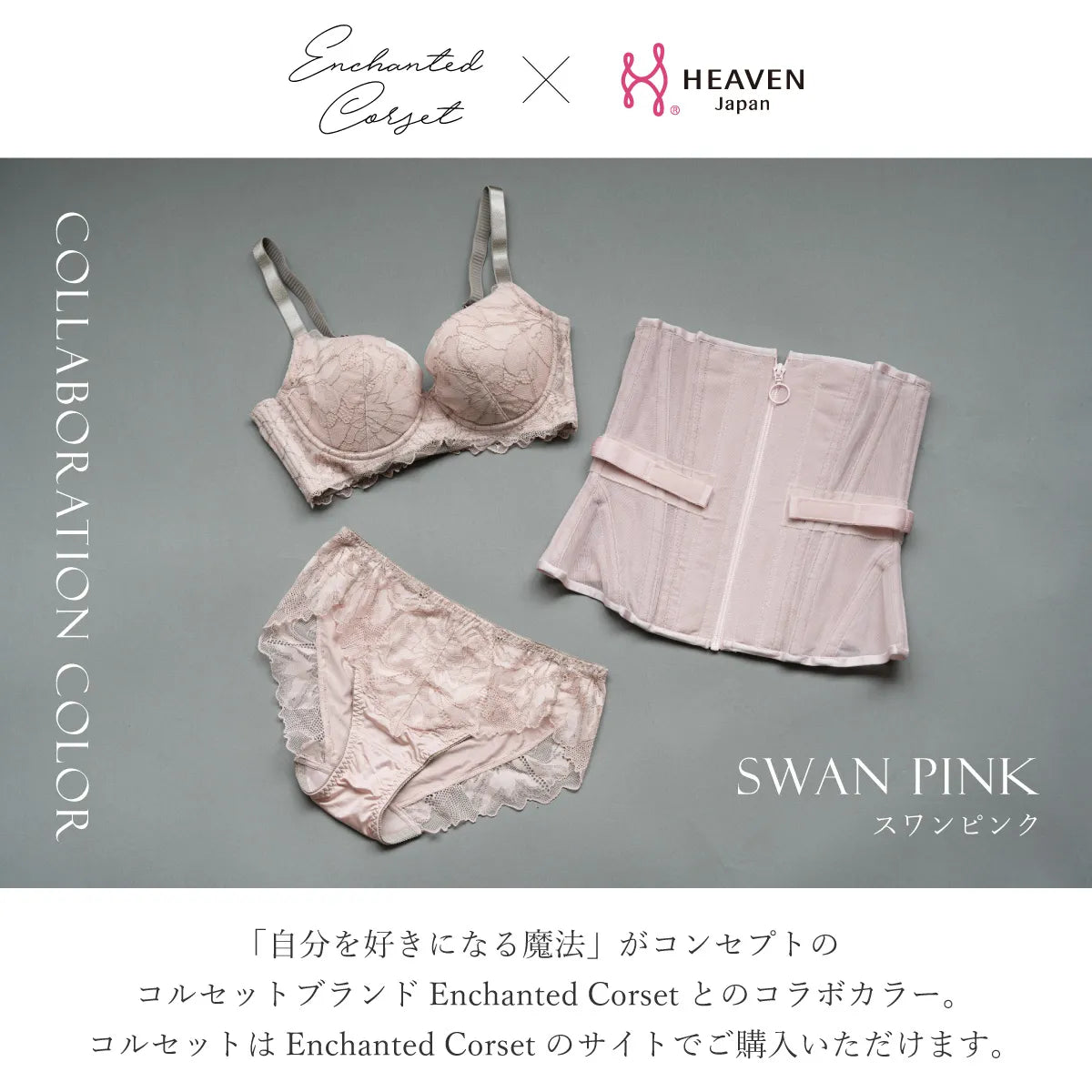 元祖脇肉キャッチャー スタンダードショーツ スワンピンク【 M - 3L 】