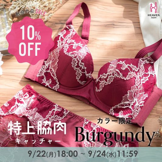 【秋分の日SALE】特上脇肉キャッチャー ブラジャー バーガンディー【 C65 - K90 】
