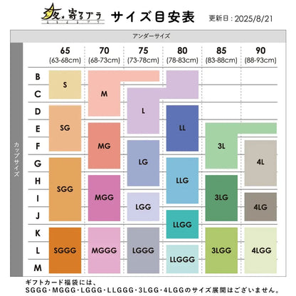 【2026年夜寄るブラ福袋】ナイトブラ 5枚福袋【 B65 - K90 】