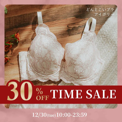 どんとこいブラ ブラジャー