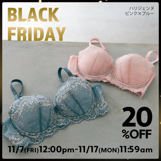 BLACK FRIDAY ハリジェンヌ ブラジャー 2色セット ピンク ブルー【 C65 - K85】