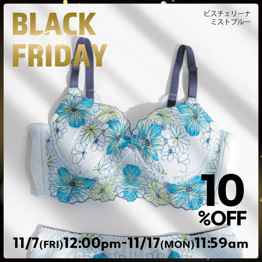 BLACK FRIDAY 限定デザイン ビスチェリーナ ブラジャー ミストブルー【 C65 - K90 】