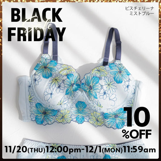 BLACK FRIDAY 限定デザイン ビスチェリーナ ブラジャー ミストブルー【 C65 - K90 】