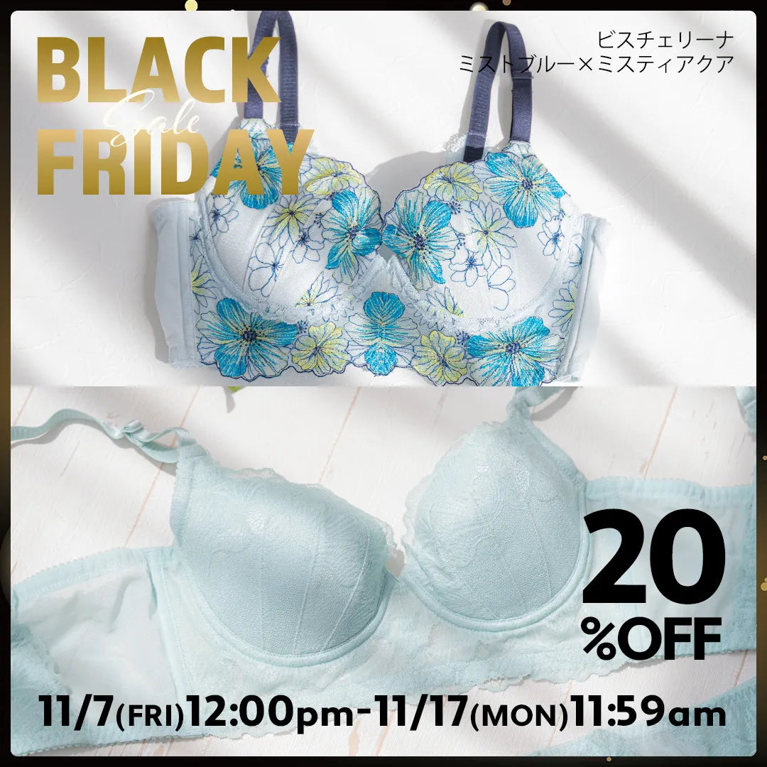 BLACK FRIDAY ビスチェリーナ ブラ2本セット 限定デザインミストブルー＆ミスティアクア【 C65 - K90 】