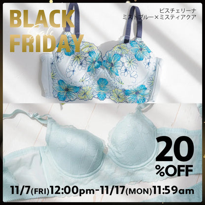 BLACK FRIDAY ビスチェリーナ ブラ2本セット 限定デザインミストブルー＆ミスティアクア【 C65 - K90 】