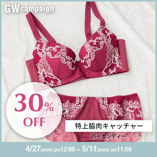 【タイムセール】【アウトレット】特上脇肉キャッチャー ブラジャー バーガンディー【 C65 - K90 】