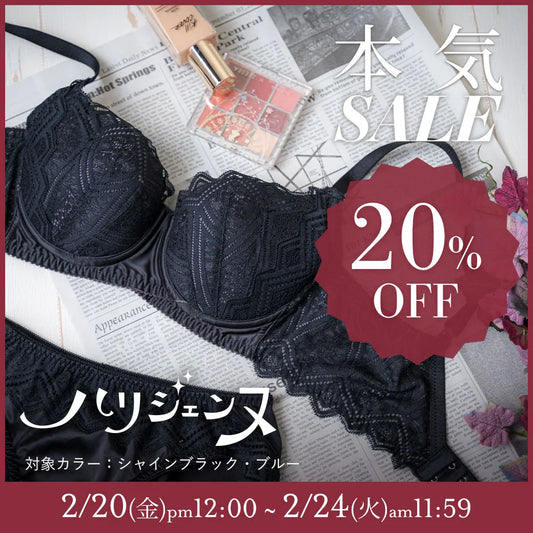 【タイムセール】ハリジェンヌ ブラジャー シャインブラック【 B65 - K90 】