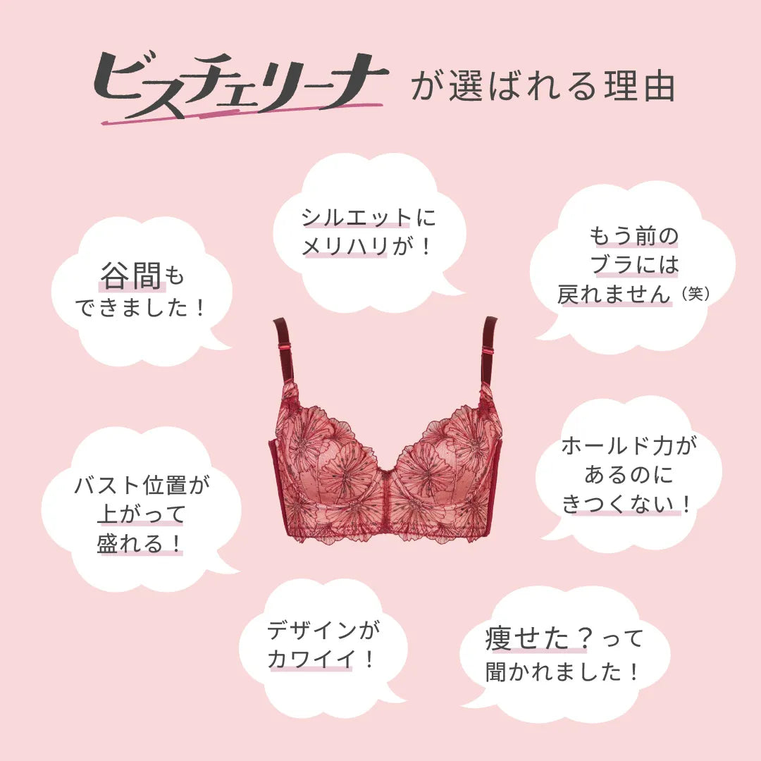 【新色】ビスチェリーナ 補整 ブラジャー グレー【C65-M90】