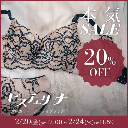 【タイムセール】ビスチェリーナ ブラジャー ヌーディブラック【 B65 - K90 】