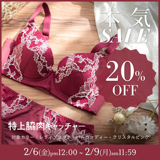 【タイムセール】特上脇肉キャッチャー ブラジャー バーガンディー【 C65 - K90 】