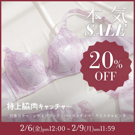 【タイムセール】特上脇肉キャッチャー ブラジャー クリスタルピンク【 C65 - K90 】