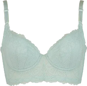 BLACK FRIDAY ビスチェリーナ ブラ2本セット 限定デザインミストブルー＆ミスティアクア【 C65 - K90 】