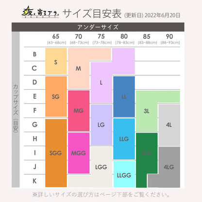 【限定ハロウィンセール】夜寄るブラ3枚福袋【 B65 - K90 】