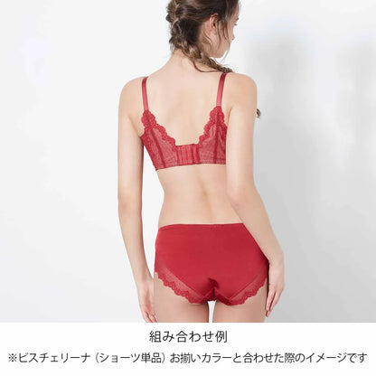 【新色】ビスチェリーナ ブラジャー レッド【C65 - M90 】