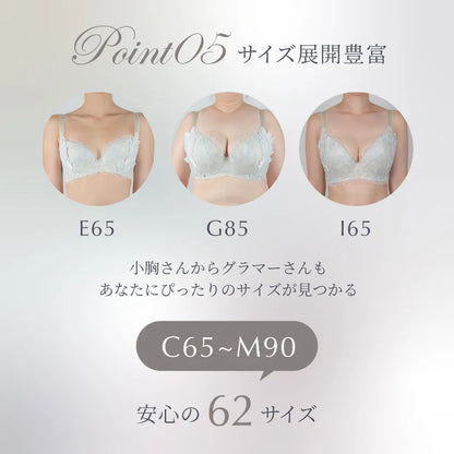 【予約ホリデーコフレ】シン・胸不二子ブラ 補整 ブラジャー ルミナス【C65-M90】