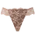 ブラウン（Tバック）