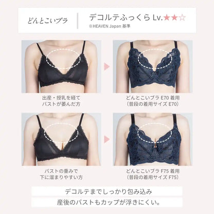 【2026年ギフトカード福袋】33,000円分ギフトカード どんとこいブラ ブラジャー