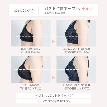 【2026年ギフトカード福袋】33,000円分ギフトカード どんとこいブラ ブラジャー