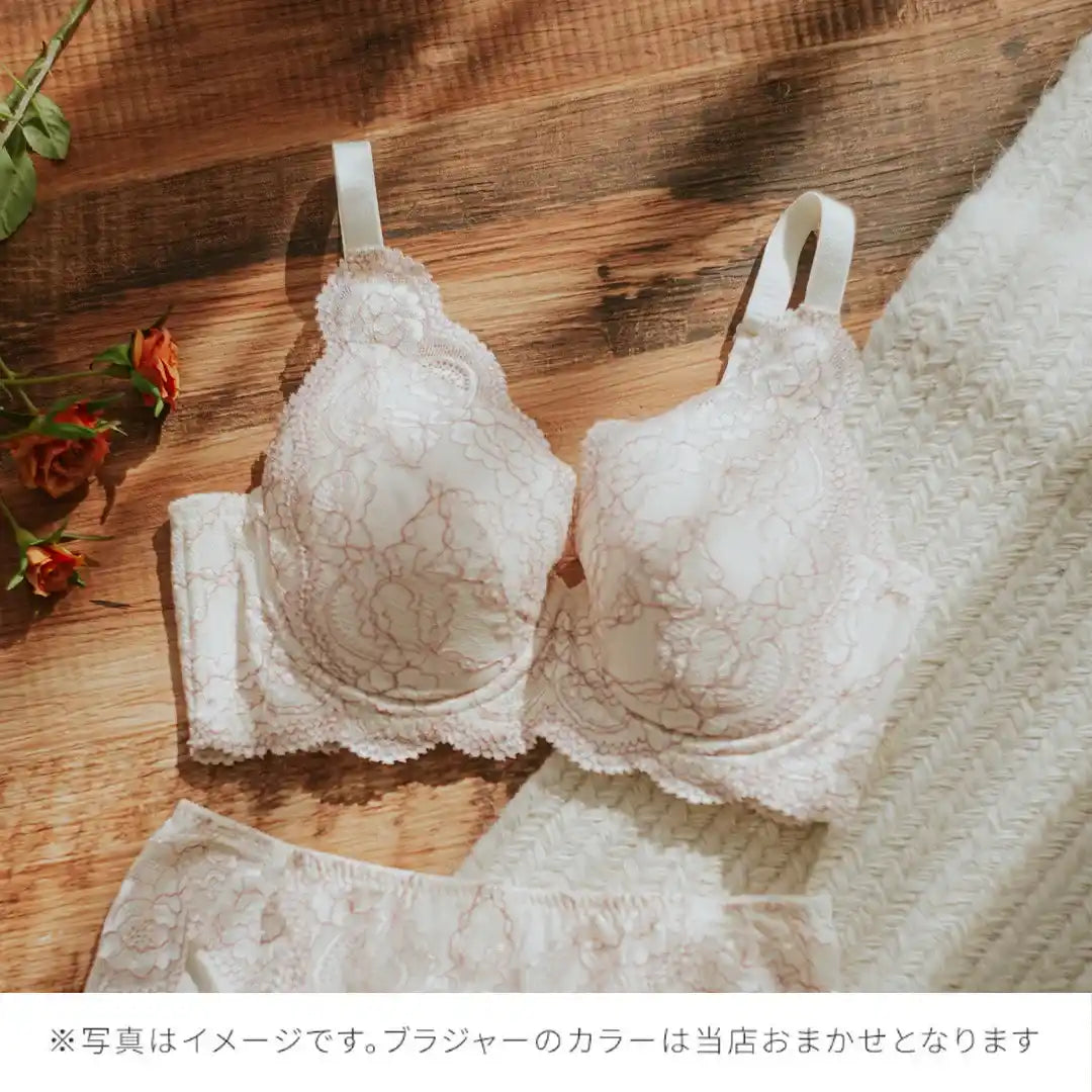 【2026年ギフトカード福袋】33,000円分ギフトカード どんとこいブラ ブラジャー