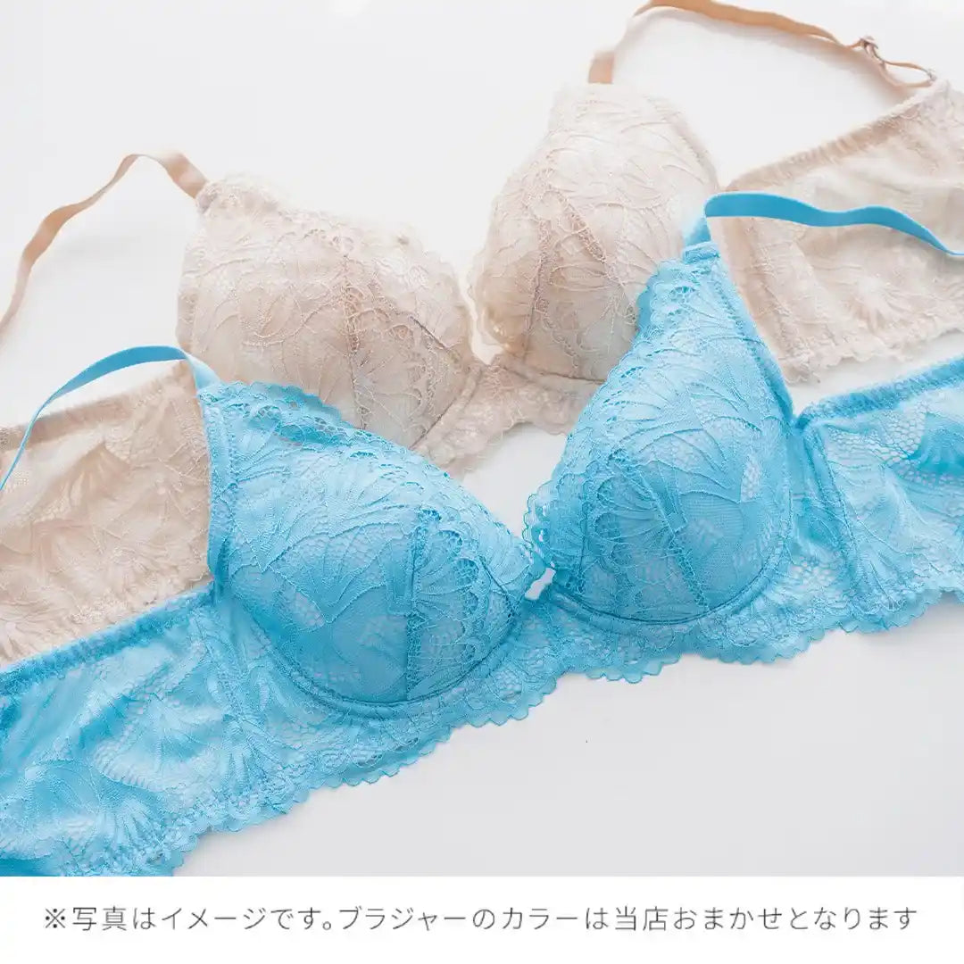 【2026年ギフトカード福袋】33,000円分ギフトカード タニマドンナ ブラジャー