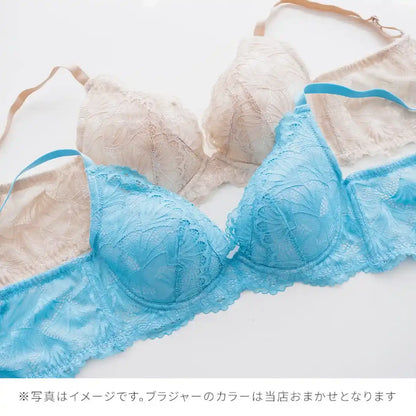 【2026年ギフトカード福袋】33,000円分ギフトカード タニマドンナ ブラジャー