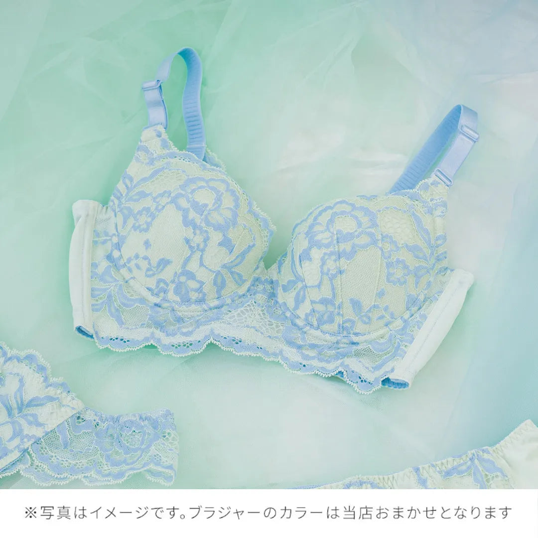 【2026年ギフトカード福袋】33,000円分ギフトカード ビスチェリーナ ブラジャー