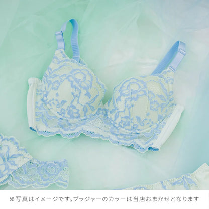 【2026年ギフトカード福袋】33,000円分ギフトカード ビスチェリーナ ブラジャー