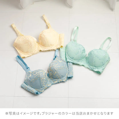 【2026年ギフトカード福袋】33,000円分ギフトカード 元祖脇肉キャッチャー ブラジャー