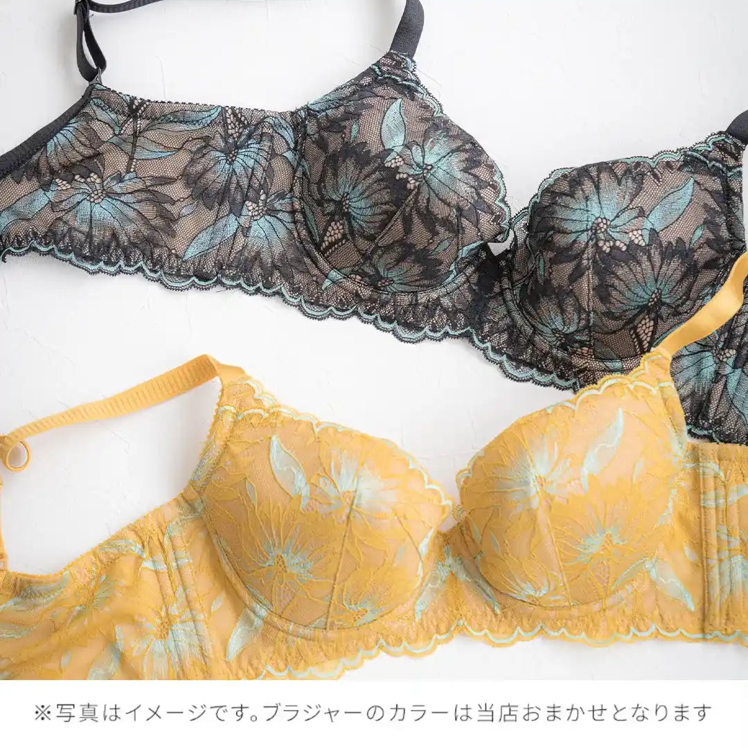 【2026年ギフトカード福袋】33,000円分ギフトカード 贅沢脇肉キャッチャー ブラジャー