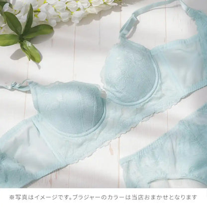 【2026年ギフトカード福袋】33,000円分ギフトカード ビスチェリーナ ブラジャー