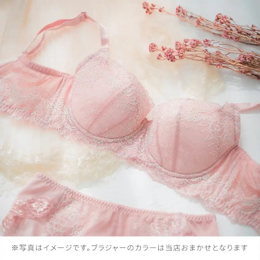 【2026年ギフトカード福袋】33,000円分ギフトカード ハリジェンヌ ブラジャー