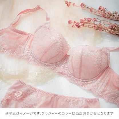 【2026年ギフトカード福袋】33,000円分ギフトカード ハリジェンヌ ブラジャー