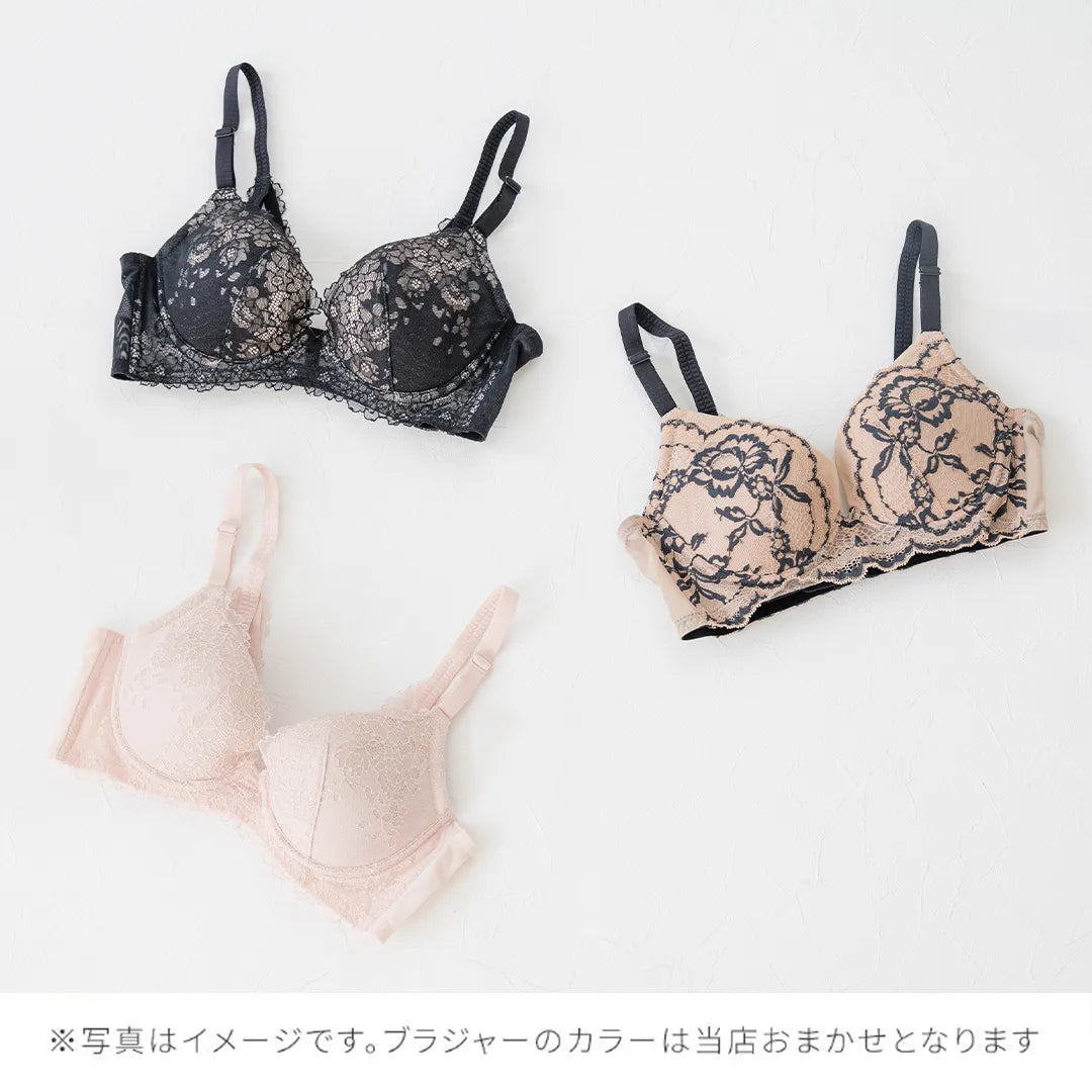 【2026年ギフトカード福袋】33,000円分ギフトカード タニマドンナ ブラジャー