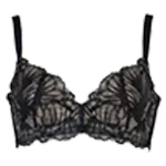 SELFIT<br>
BRA