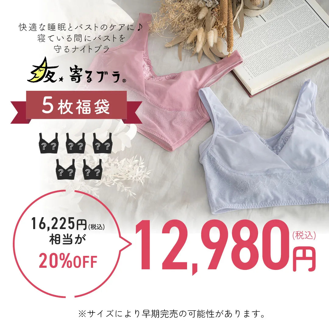 【2026年夜寄るブラ福袋】ナイトブラ 5枚福袋【 B65 - K90 】