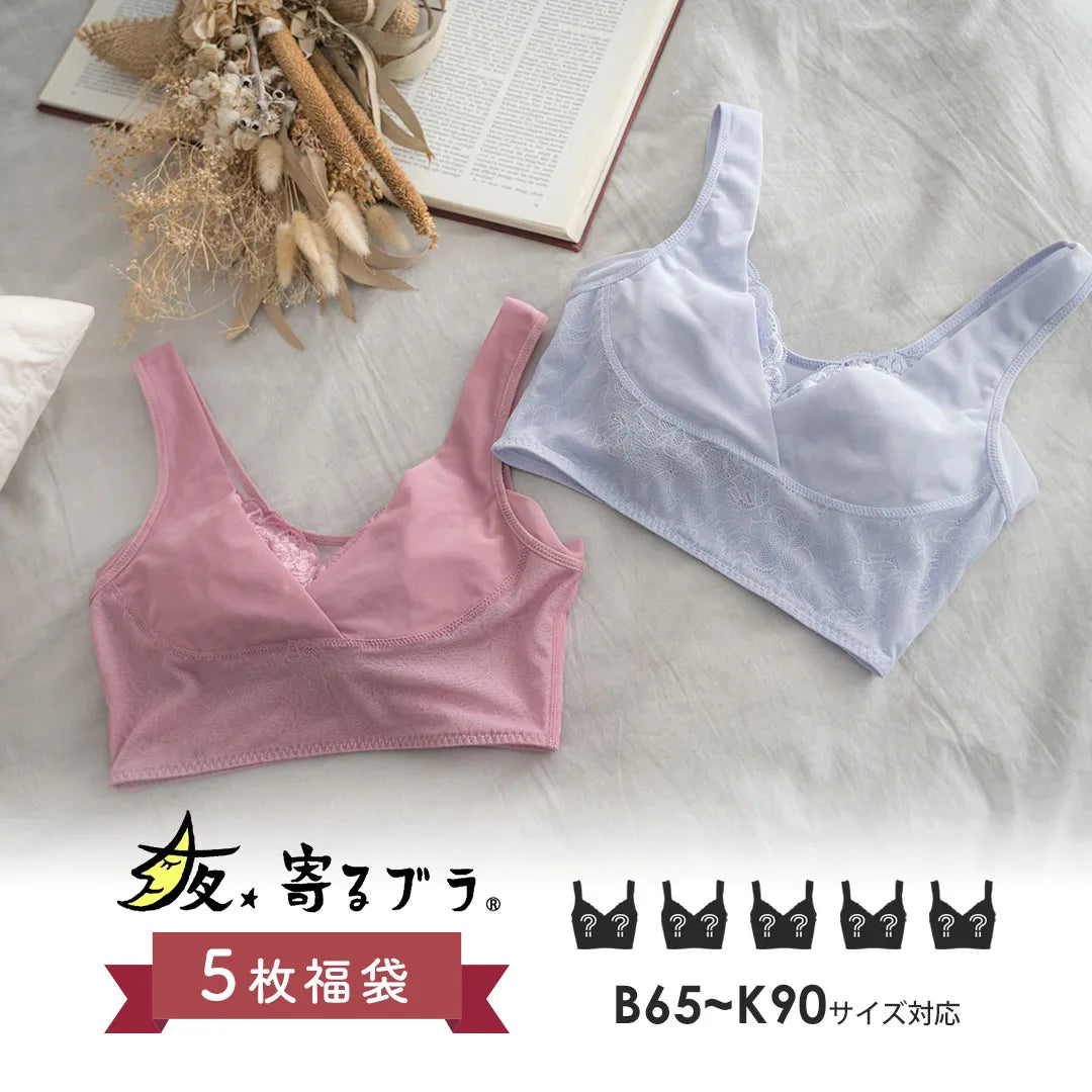 【2026年夜寄るブラ福袋】ナイトブラ 5枚福袋【 B65 - K90 】