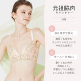 【アウトレット】元祖脇肉キャッチャー ブラジャー サックスブルー【 B65 - K90 】